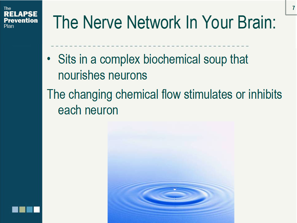 Lesson Slide Image
