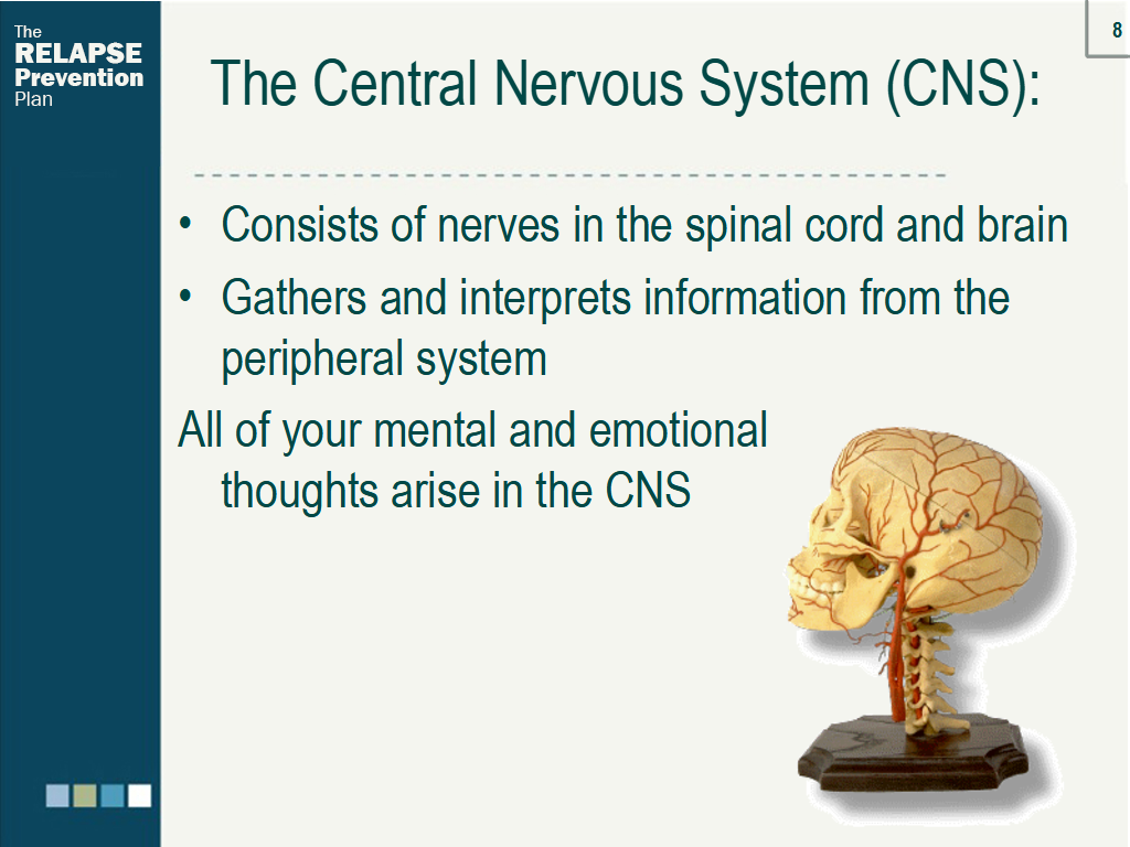Lesson Slide Image