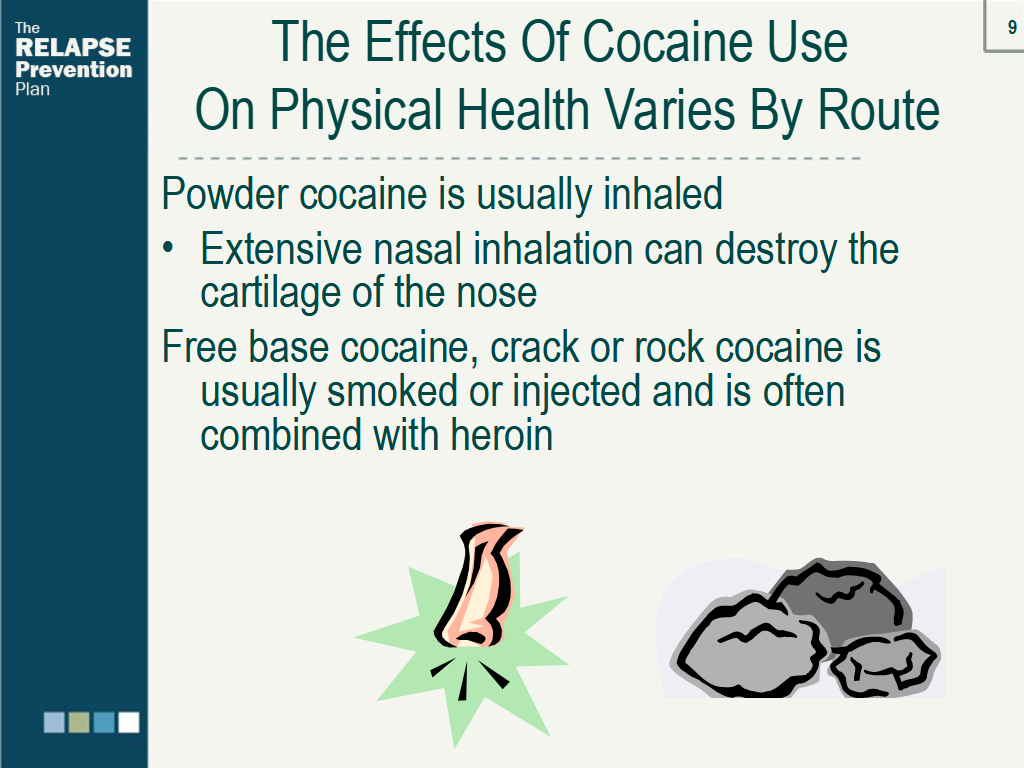 Lesson Slide Image