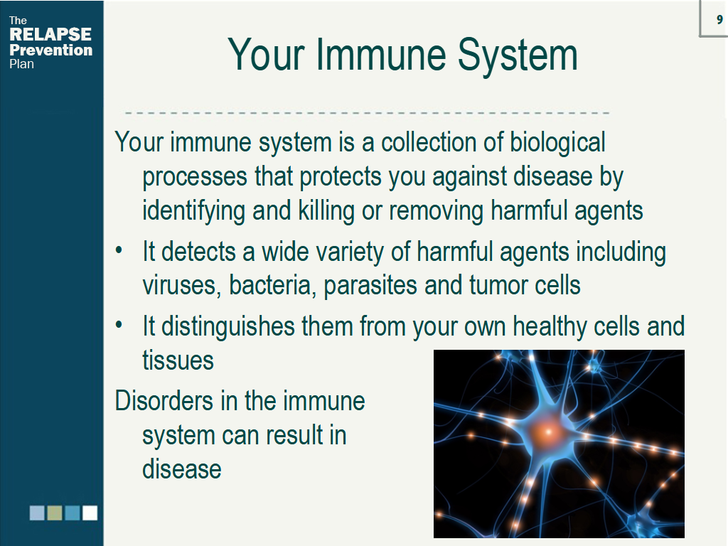 Lesson Slide Image