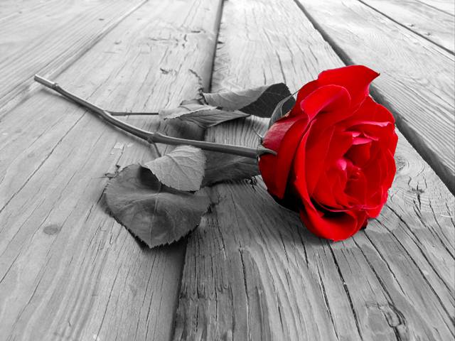 Loneliness and Relapse Prevention
